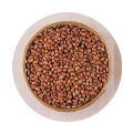 Plain Bean